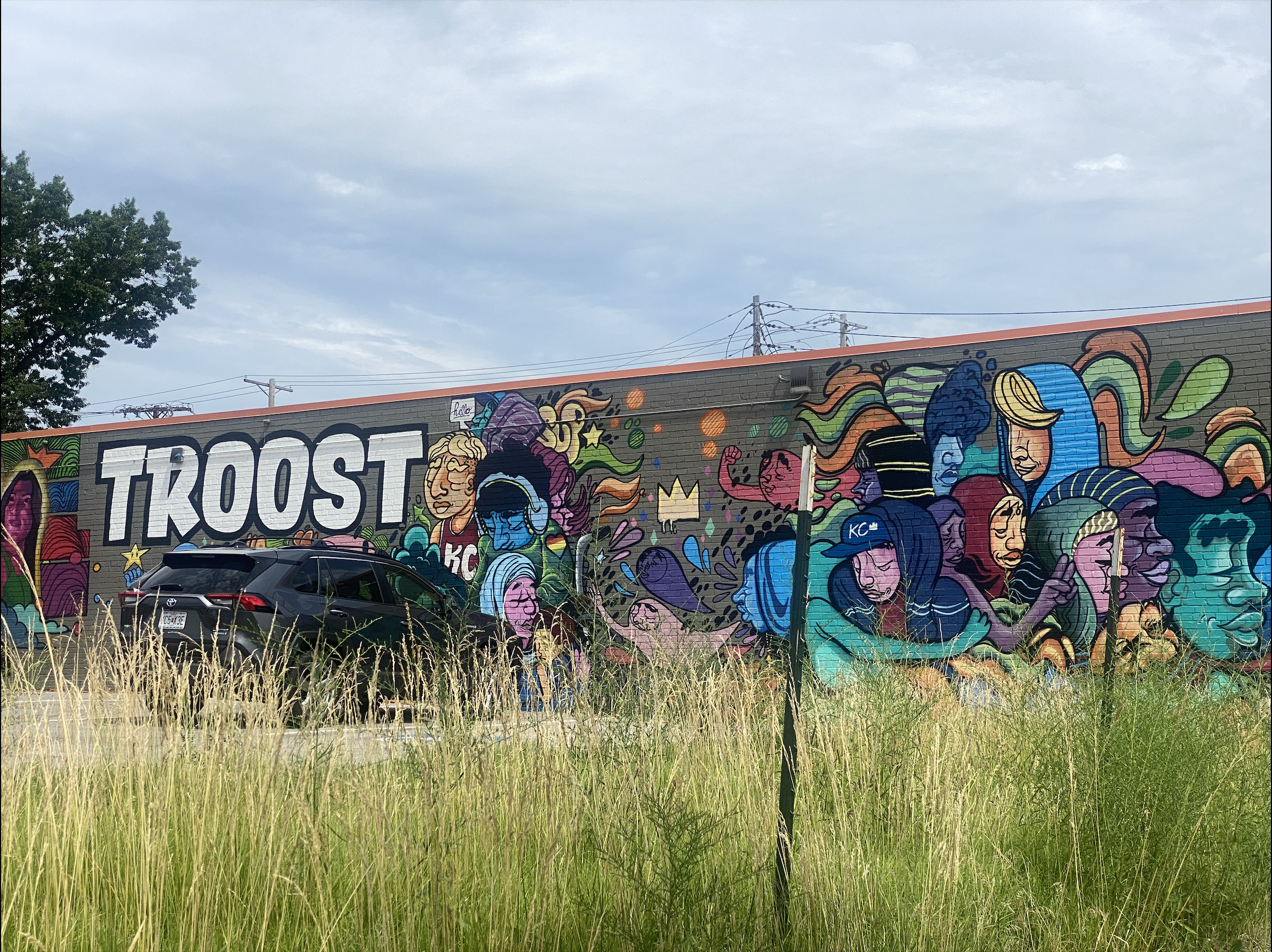 City council advances resolution to rename Troost Avenue to Truth Avenue - Vimarsana News
